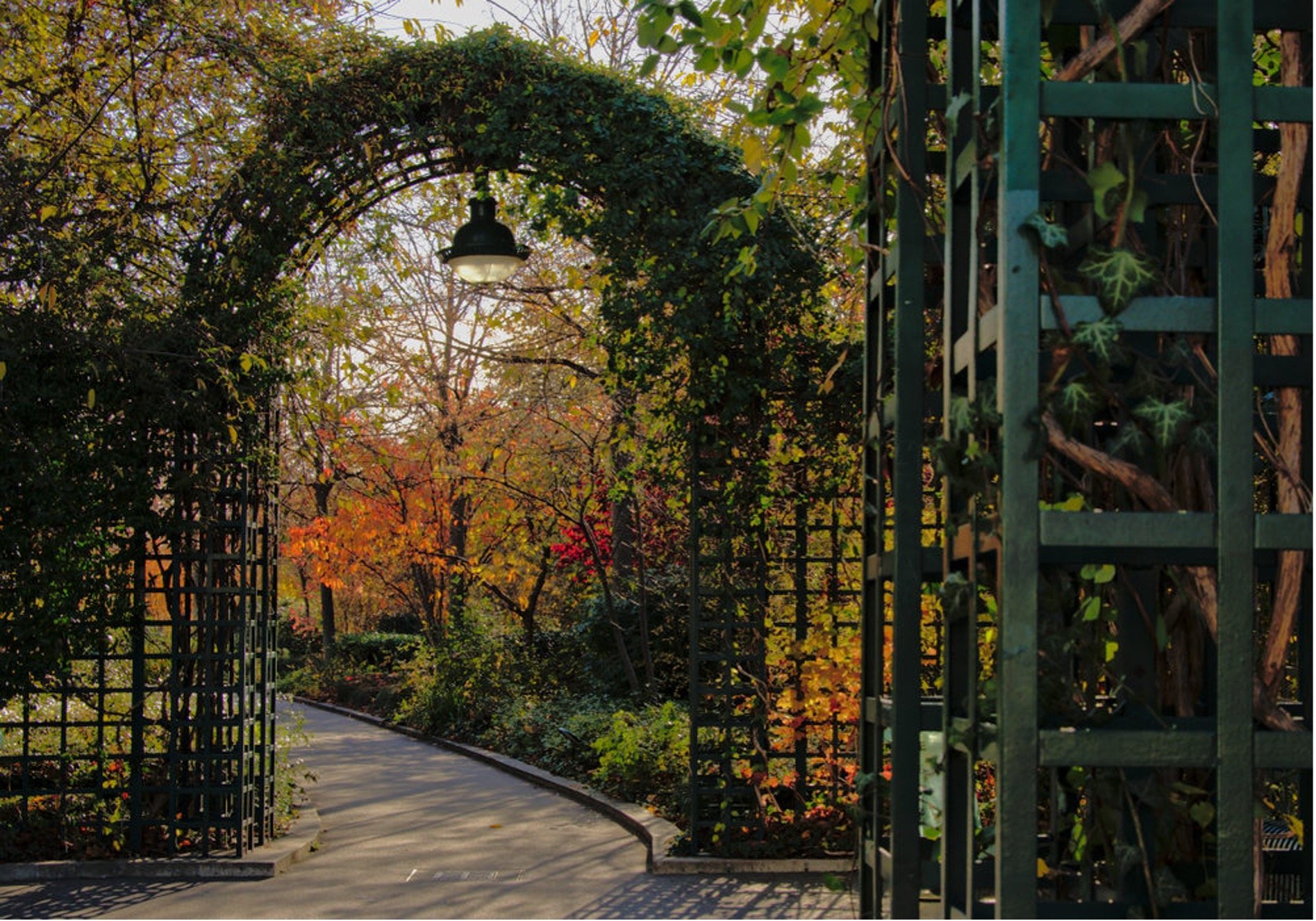 7da86d66-04c4-4fe6-b378-ca54caefb539