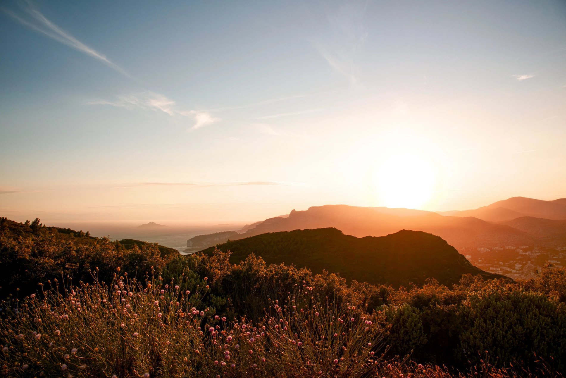 7e30643e-139f-490e-9f05-d0a62e71fc00