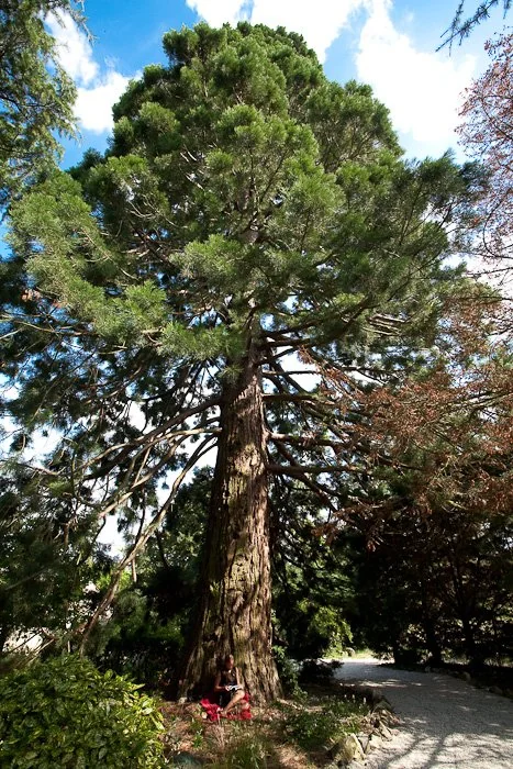 7eea5f4c-ed20-4950-8831-524bbfa27458