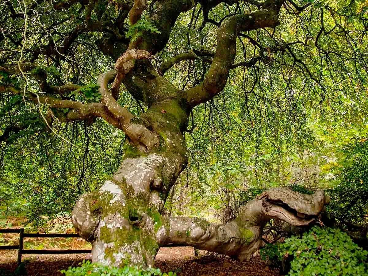 7fc3bcaf-8d84-4687-befa-3b1eee7321ac