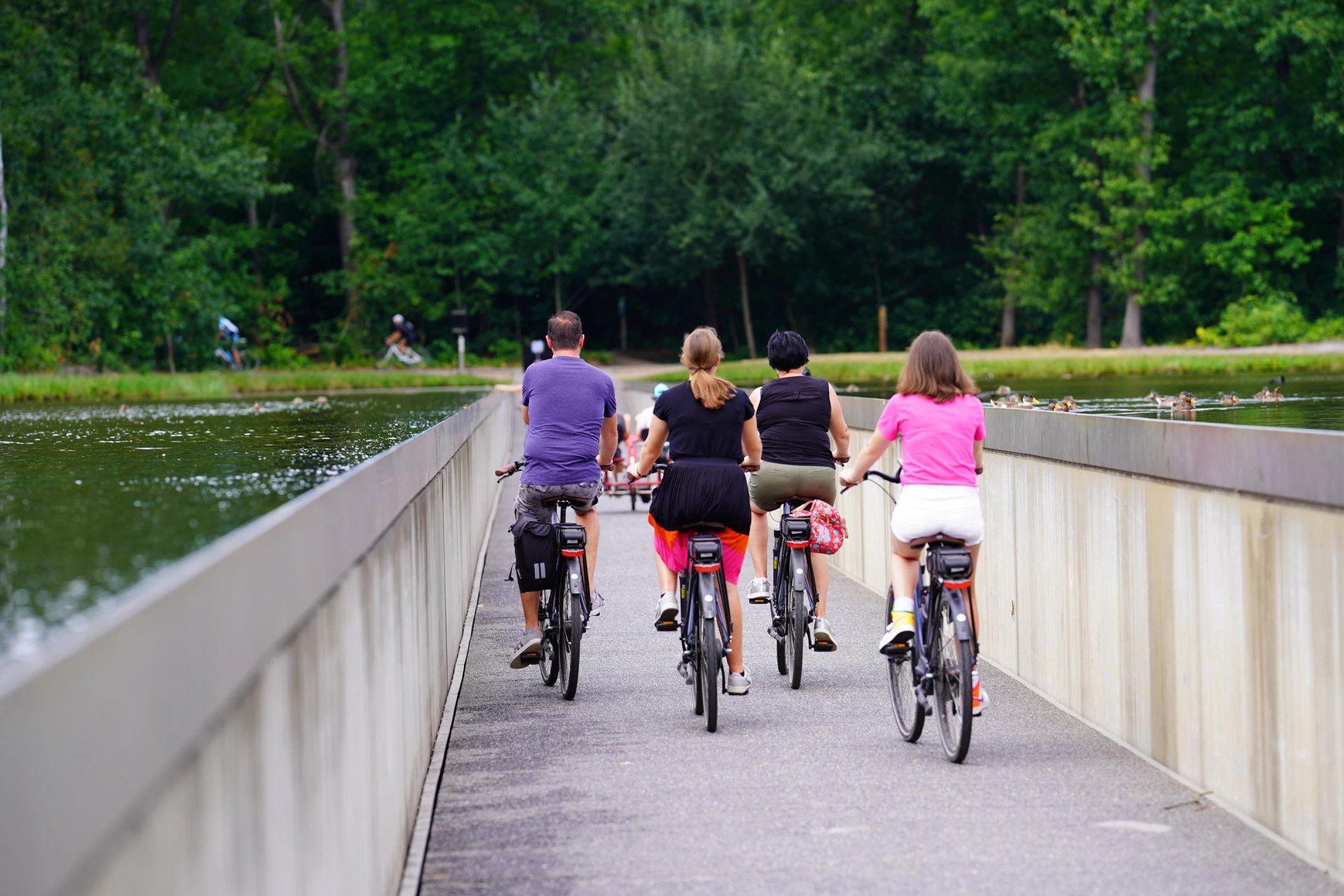 808fc20c-9f25-4516-a7ce-07eacc18bbf0