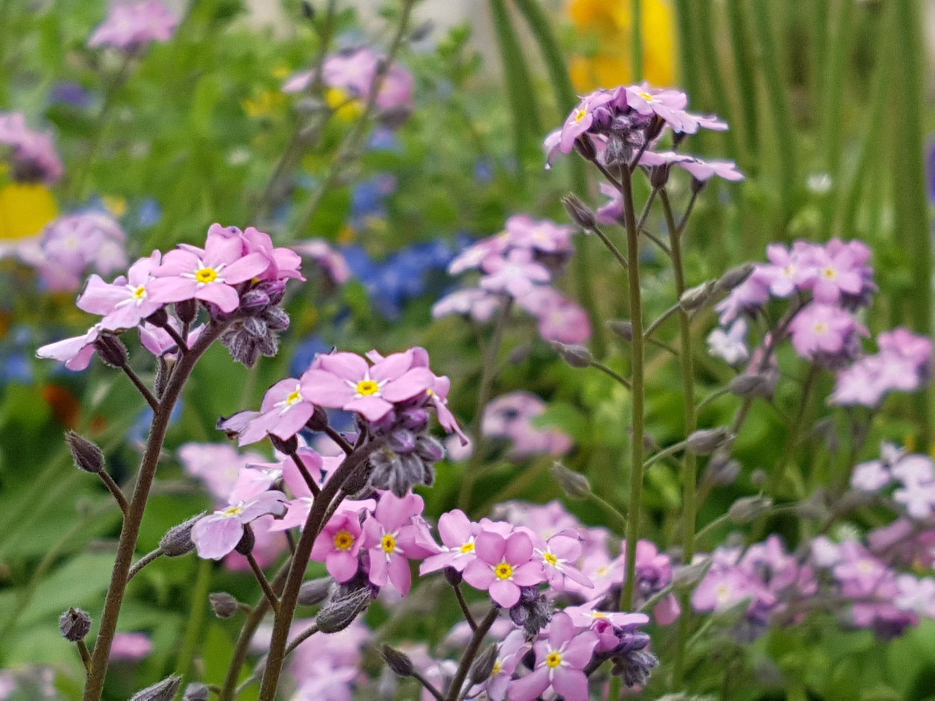 82165b60-88cf-48b8-9148-1228ef25db5d