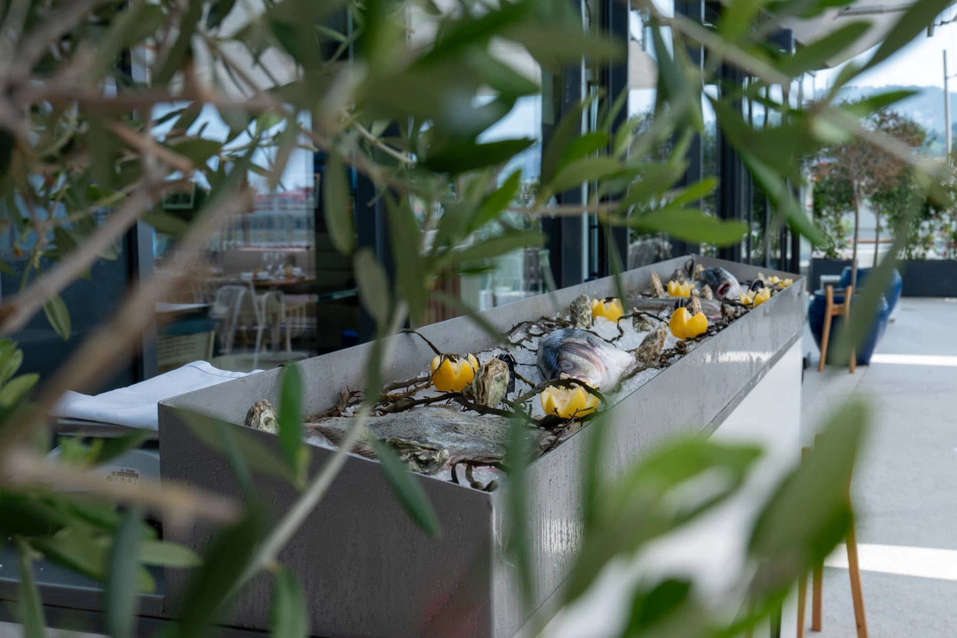 8304a69f-dfa3-4820-a176-db259088e233