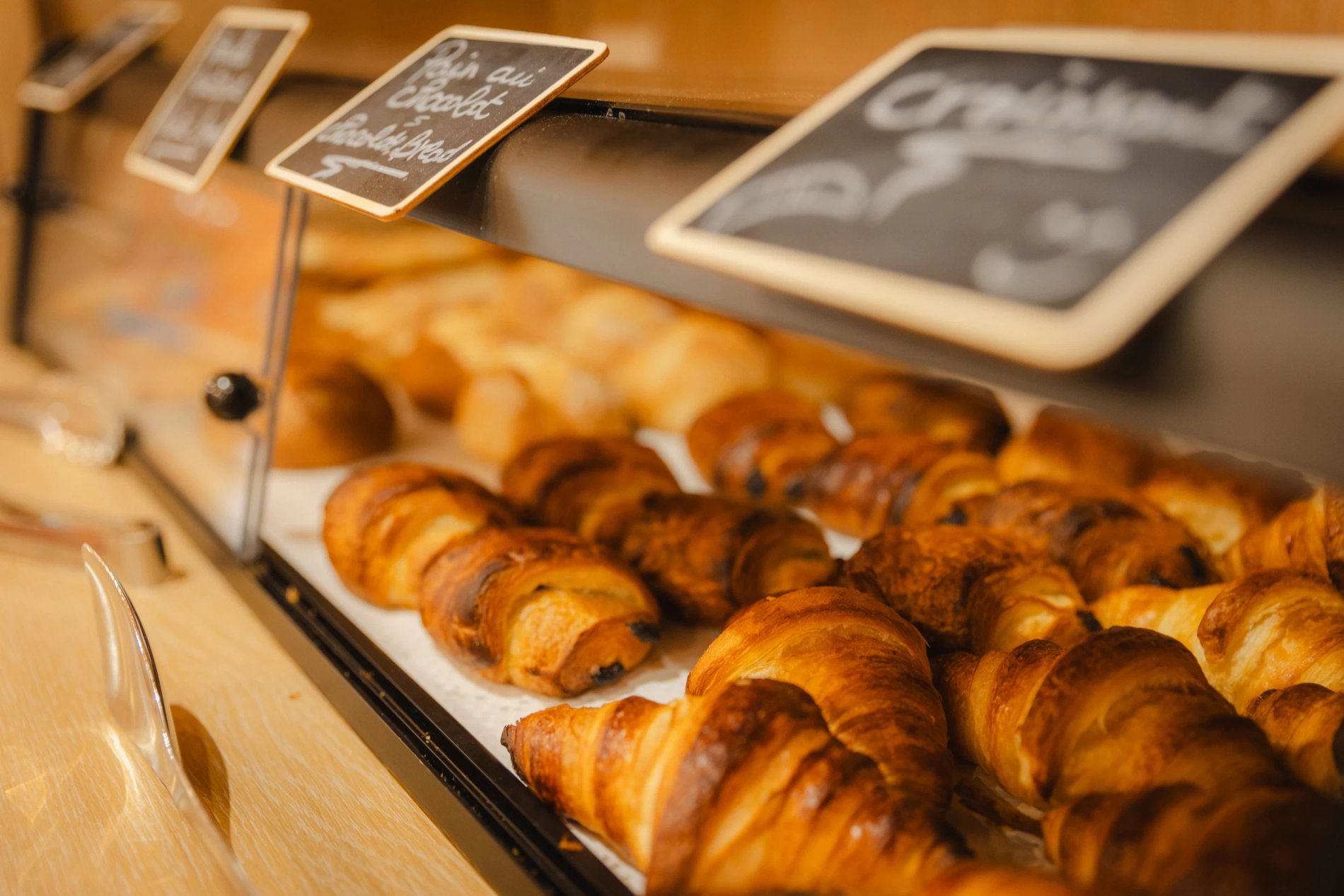 8313da36-a876-4d15-9a98-5042964b86cd