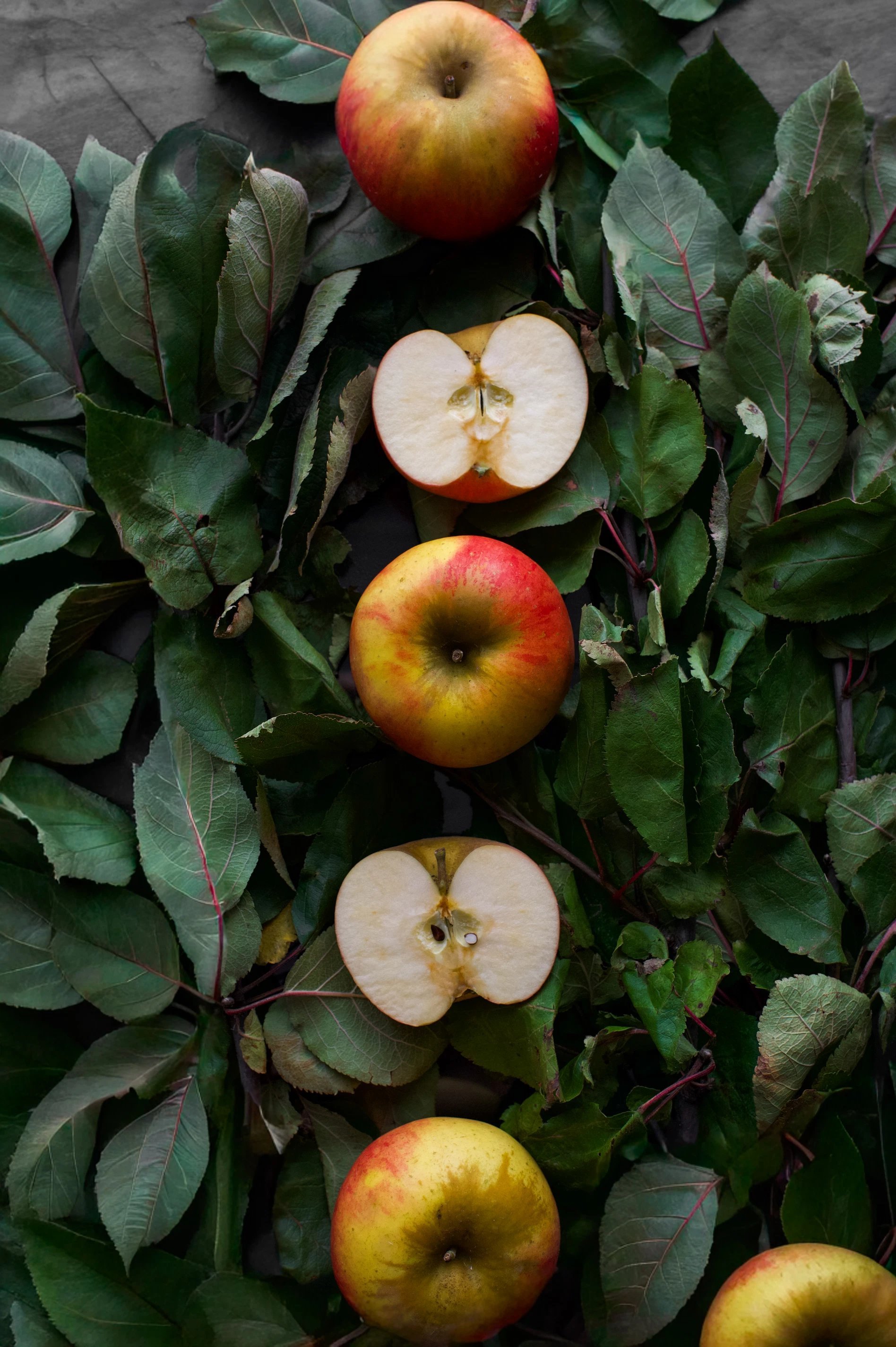 83f13947-503e-4608-8b4b-f72d451699d3