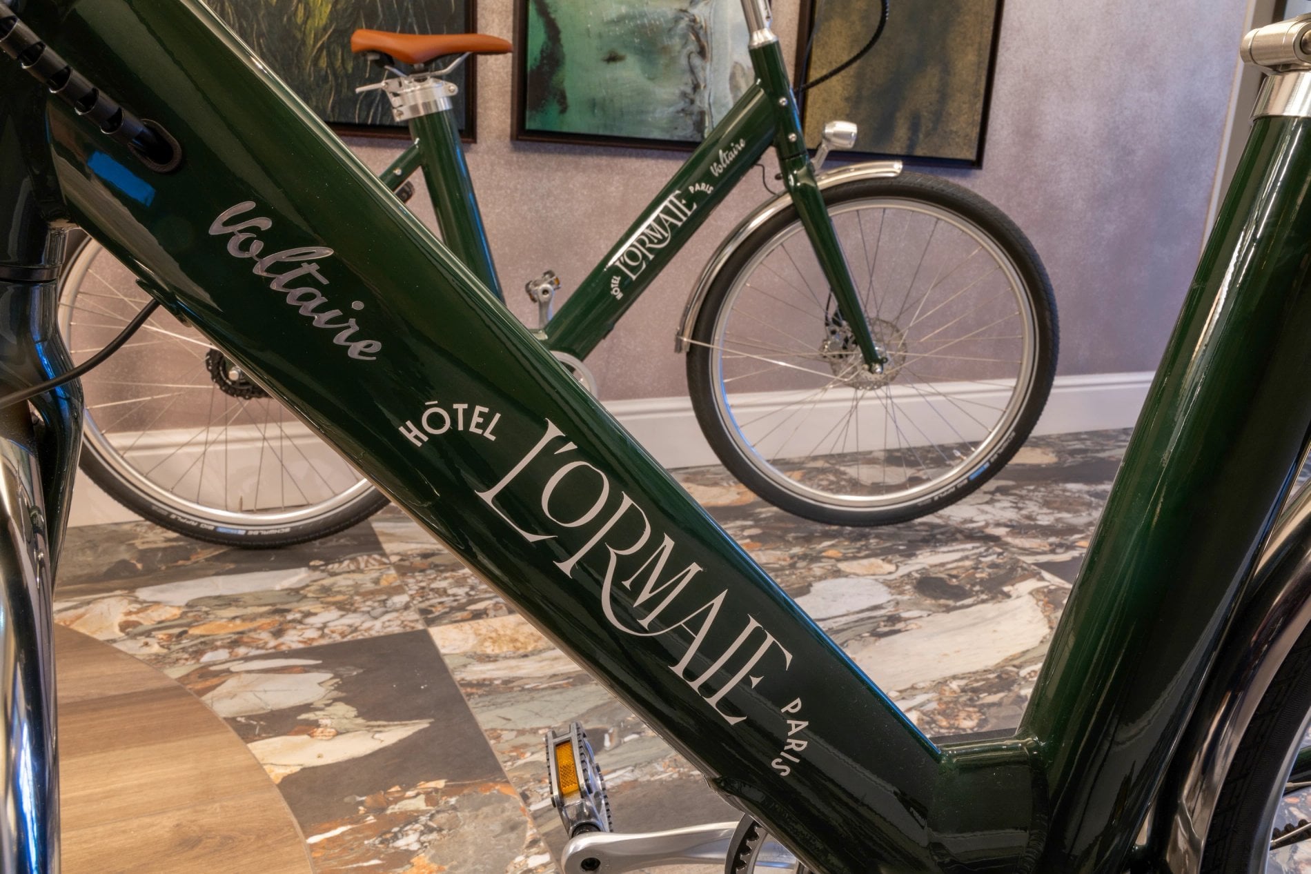 Hôtel L'Ormaie Location de vélos Voltaire