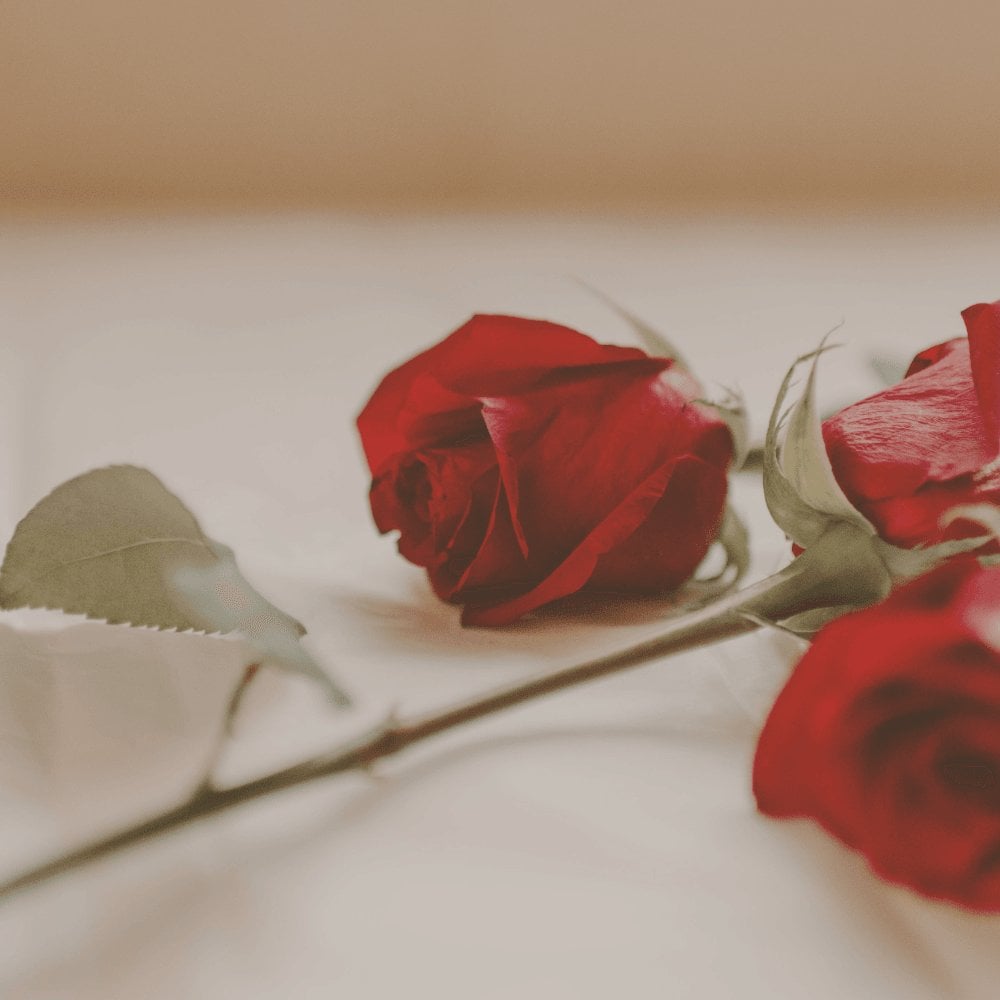 863a6bd3-8031-445a-86c3-caed7cca5a09