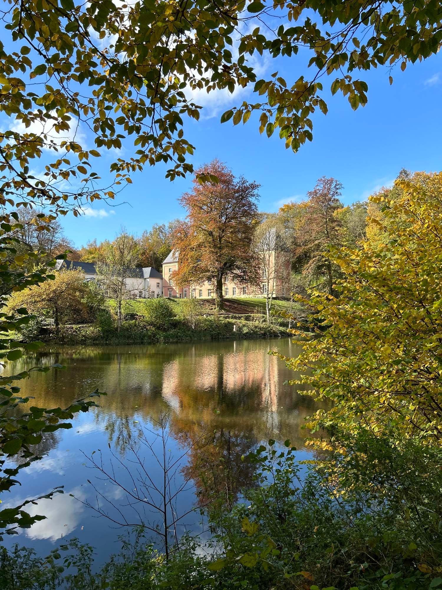 86971546-19e4-4bcc-9fd8-301700649233