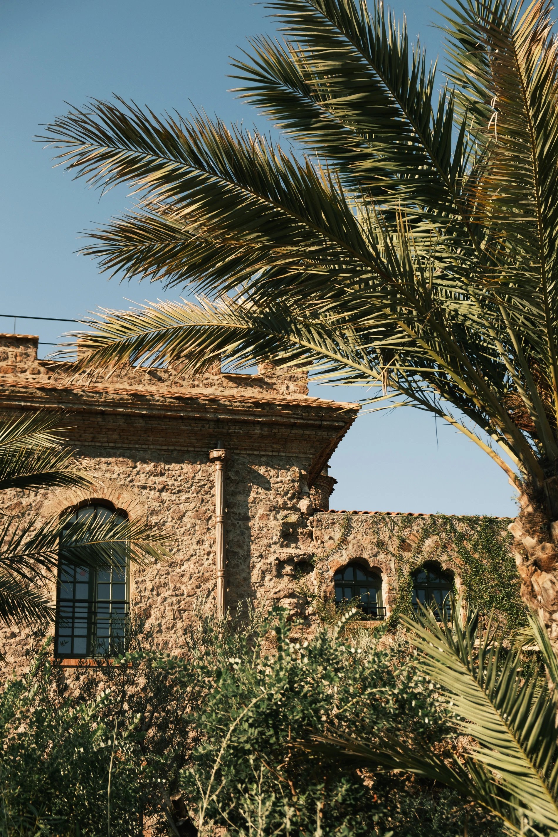 87cbda9e-6e10-4a2a-80a0-e9dcd42f29b4