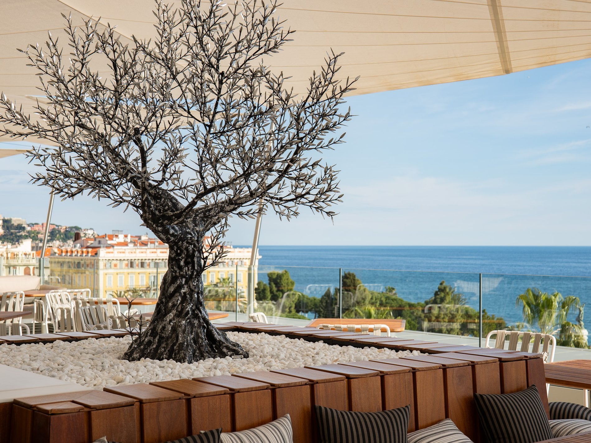 Tree on the rooftop Maison Albar Le Victoria.