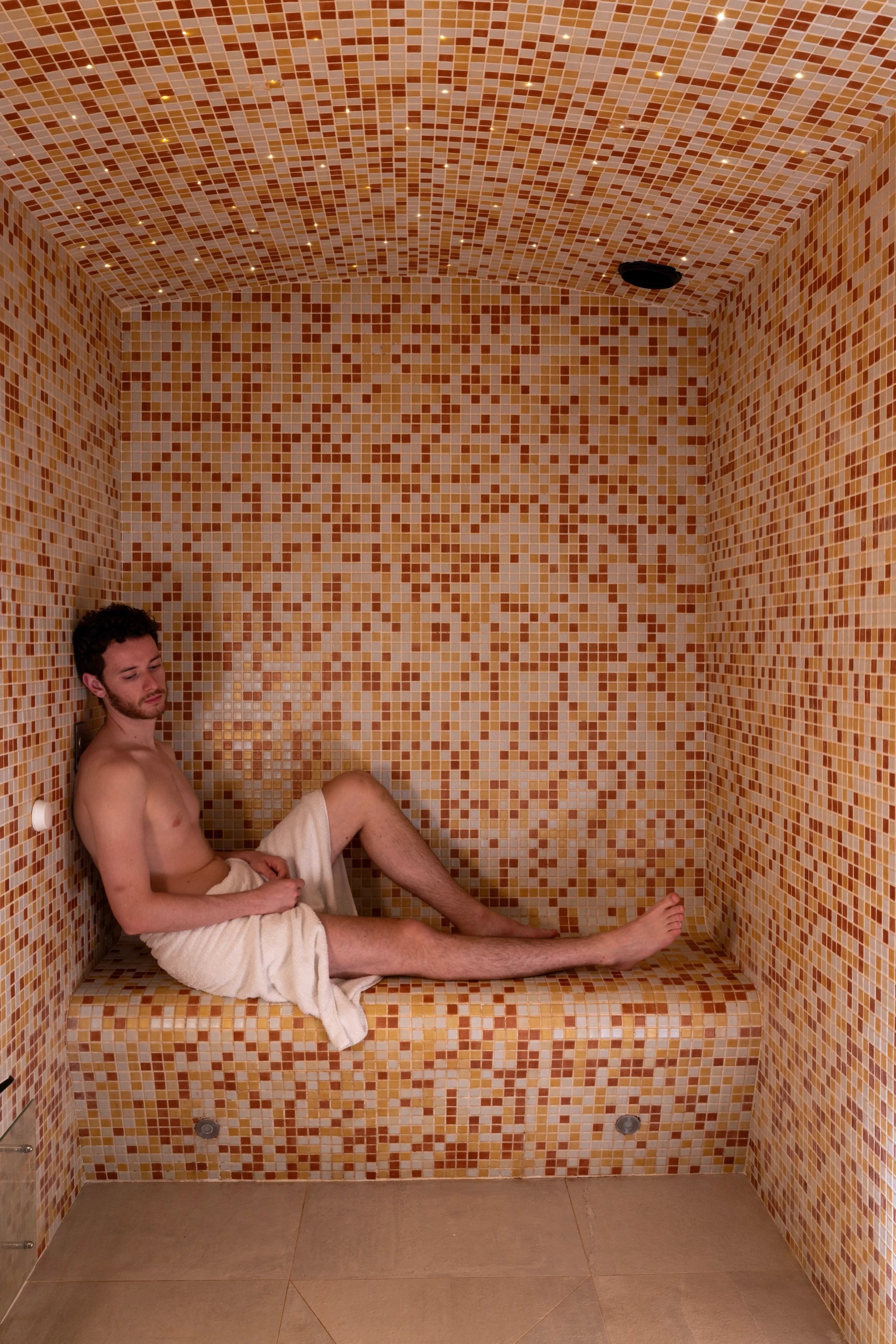 Hôtel Félicien Hammam