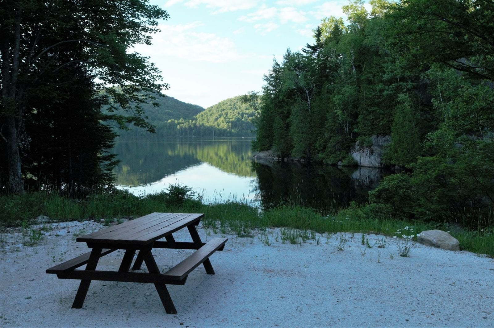 894866ff-33c8-409e-8a39-e3aa066e7b89