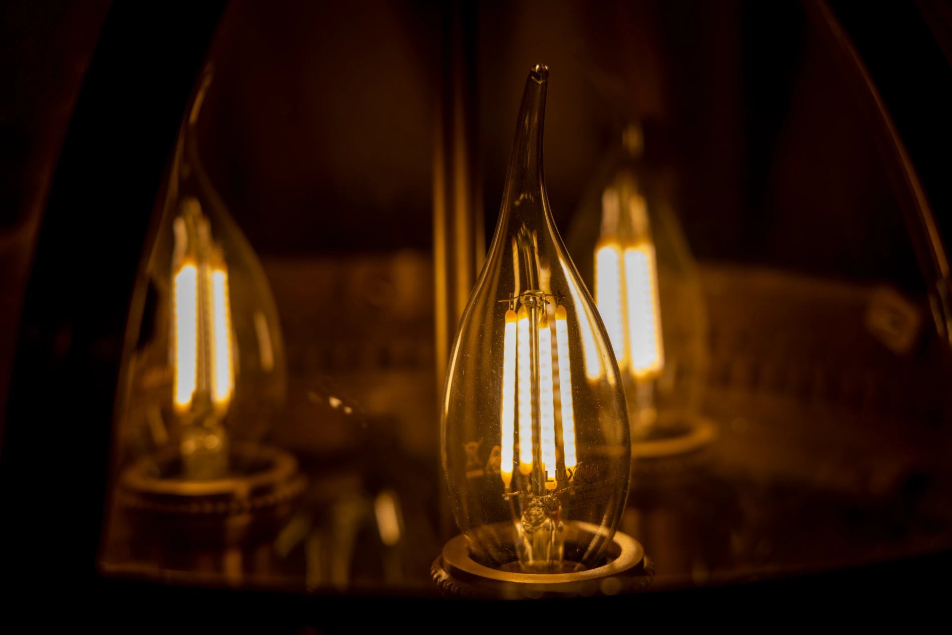 89969bc5-d728-44d2-bd8e-739146a22fff