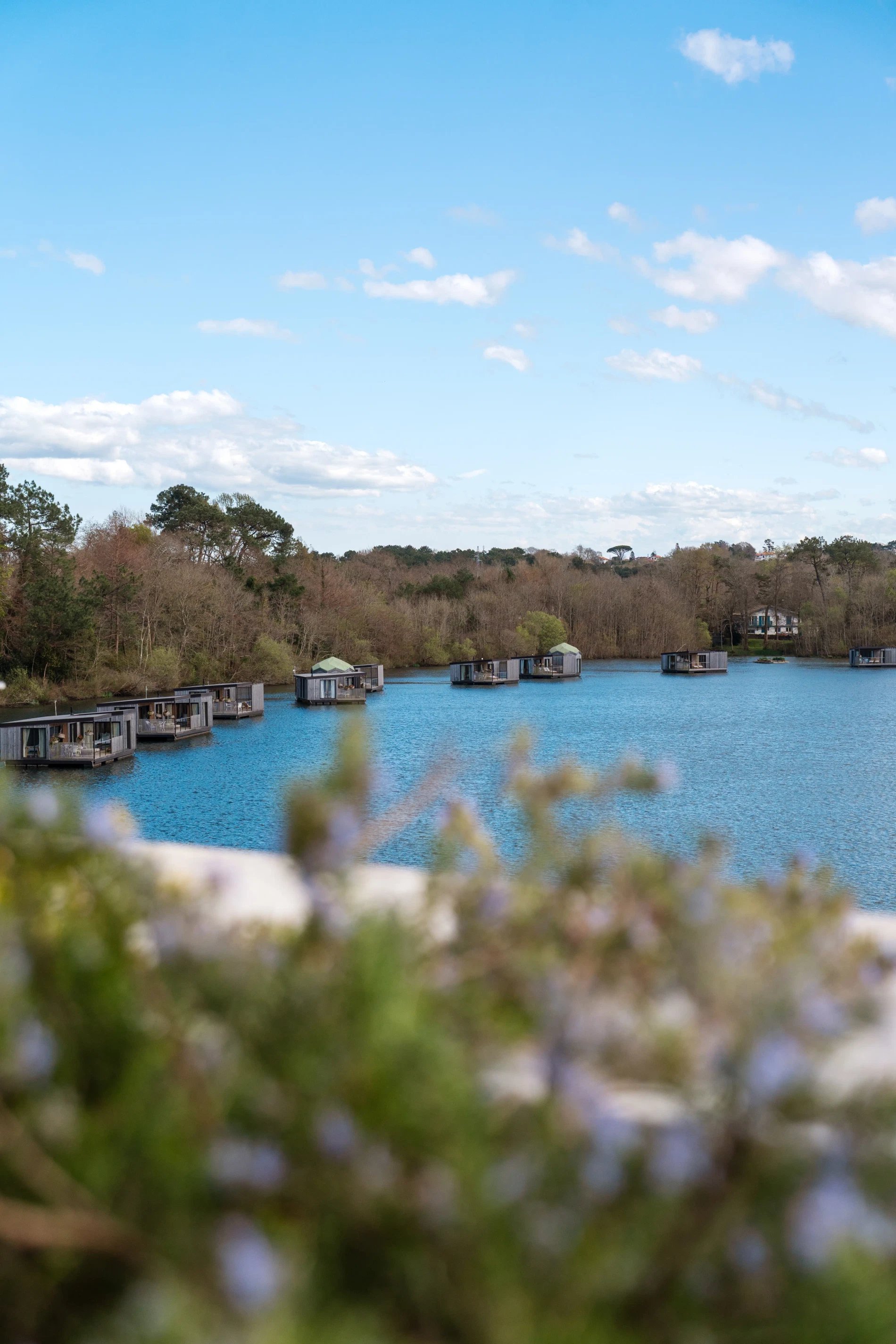 89b15515-ec78-41b1-b262-15f75c02fc70