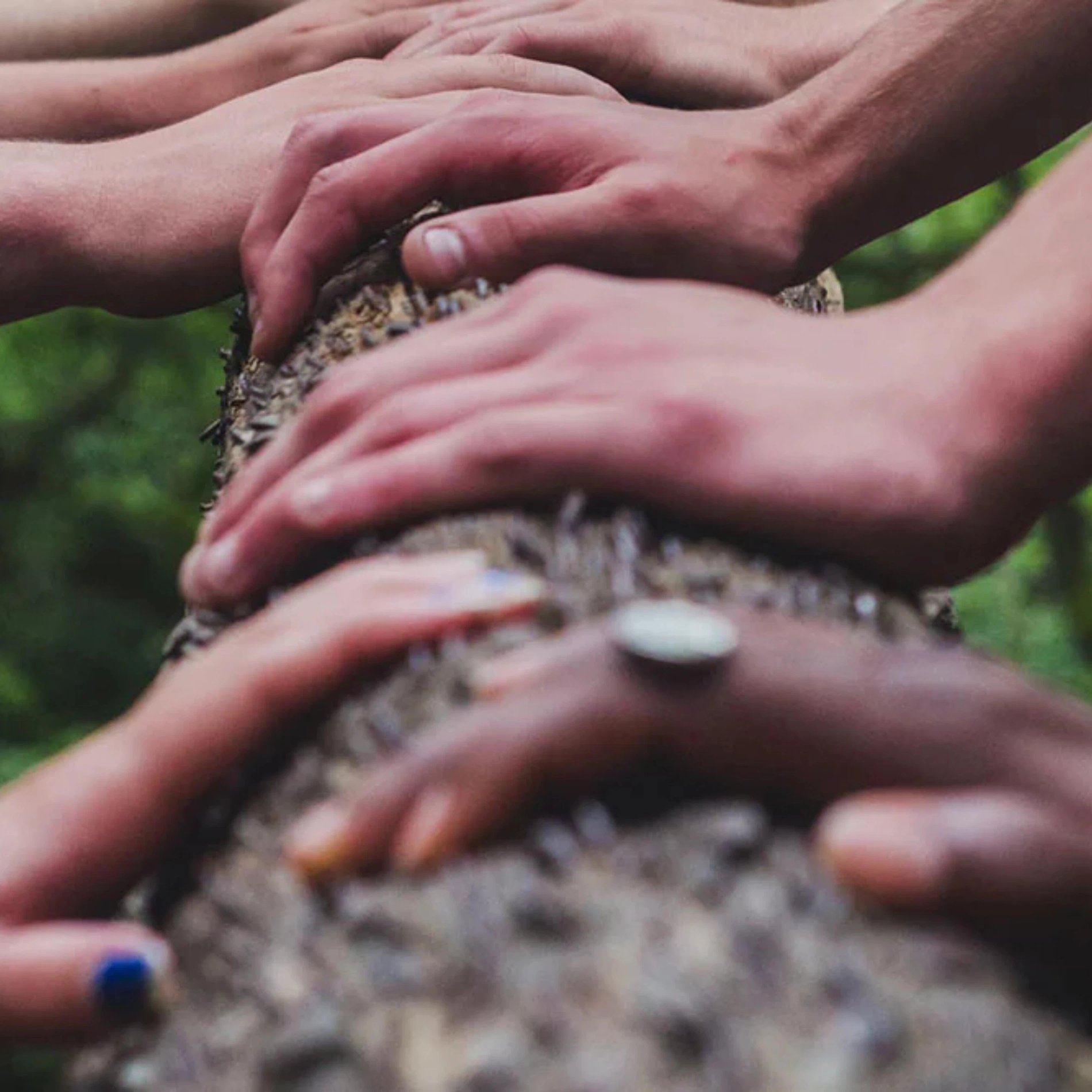 8b9b8fd2-3854-40d1-abc4-707684471522