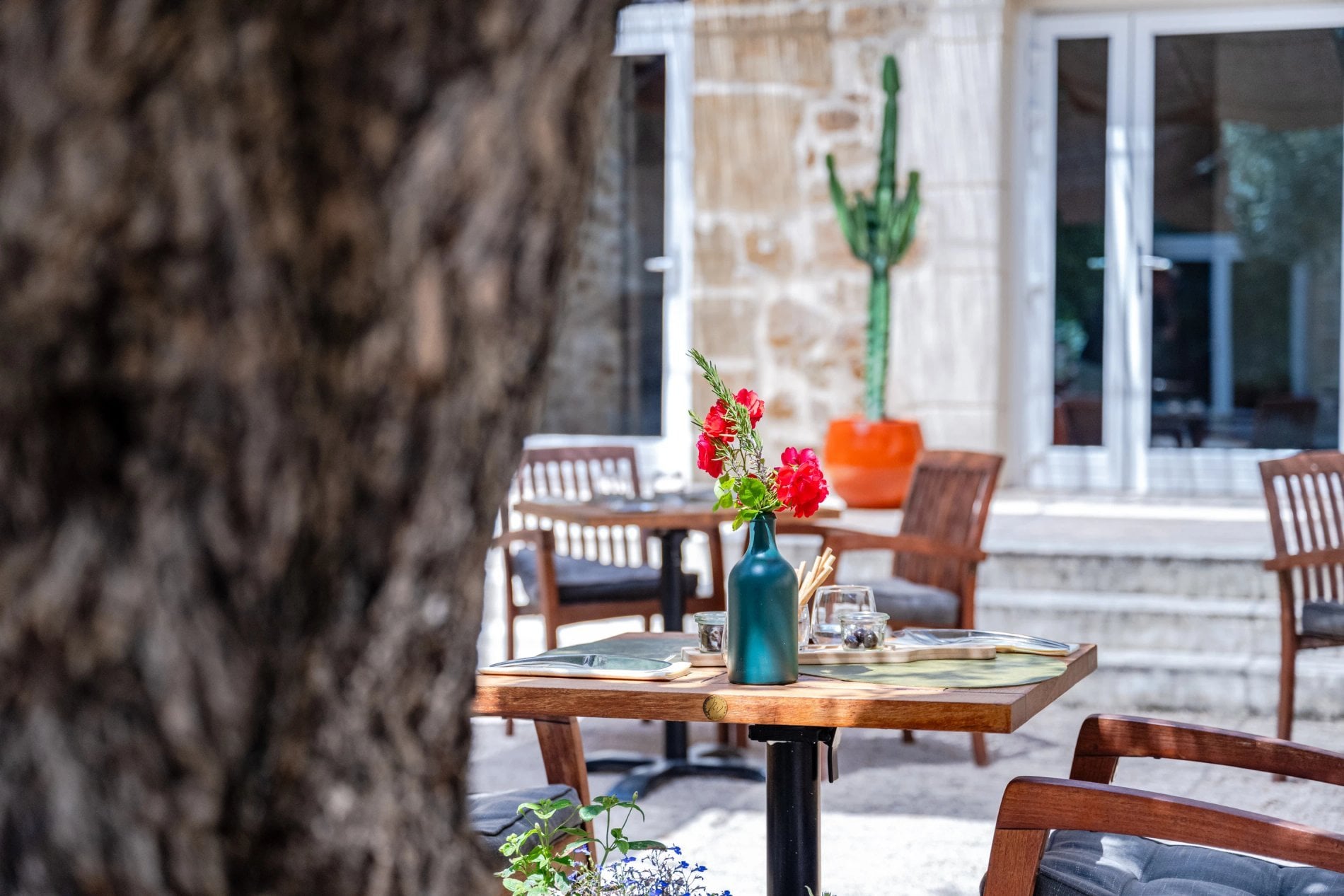 8bc78596-faff-4dea-b94b-65cf0399c7fe