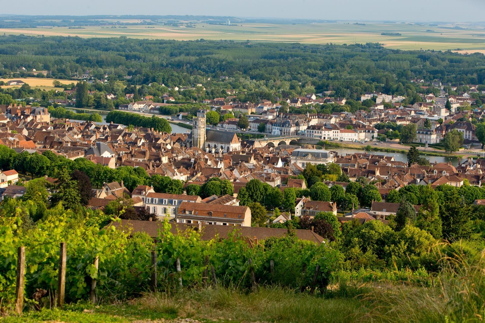 8bf3f44f-138f-494b-ab4d-0cccb9ea376d