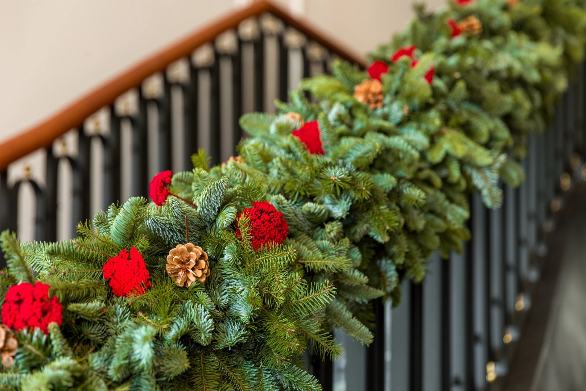 8c2edf81-dc3c-43ed-9191-5157b7acd62e