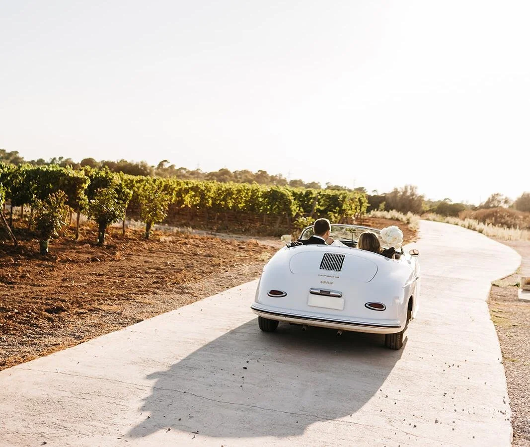 8ed5b338-27f1-4bd5-99b1-cca494b616e9