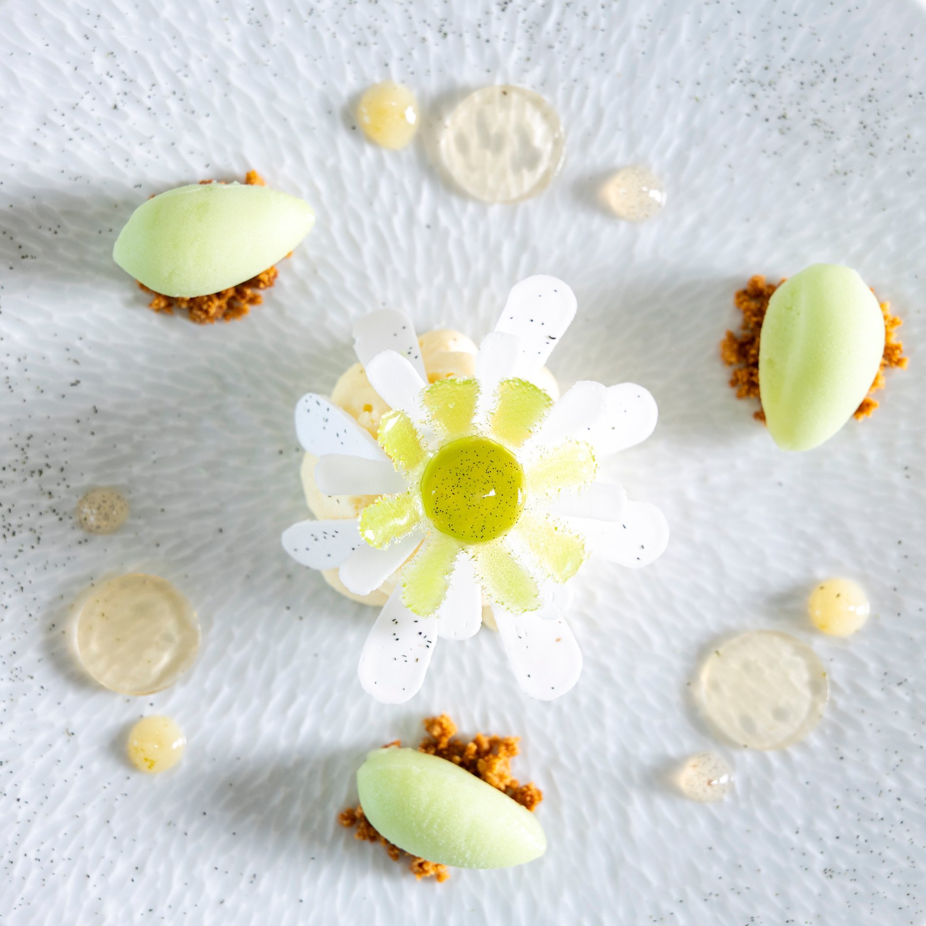 8f687015-870d-404a-97e7-58cf561e507d