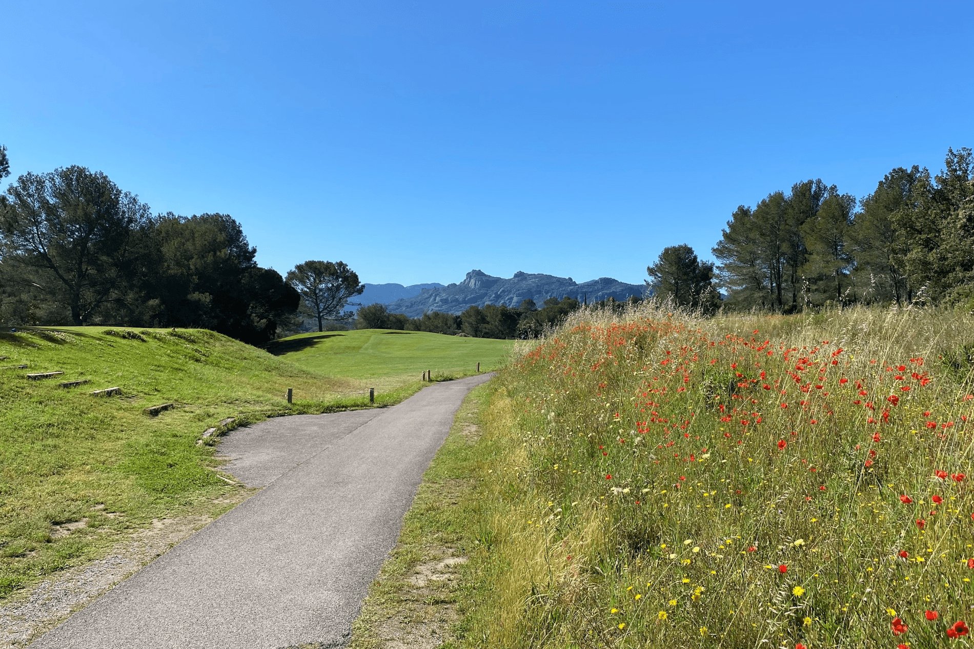 902e4bb5-167d-4fed-86df-b66a210fa55b