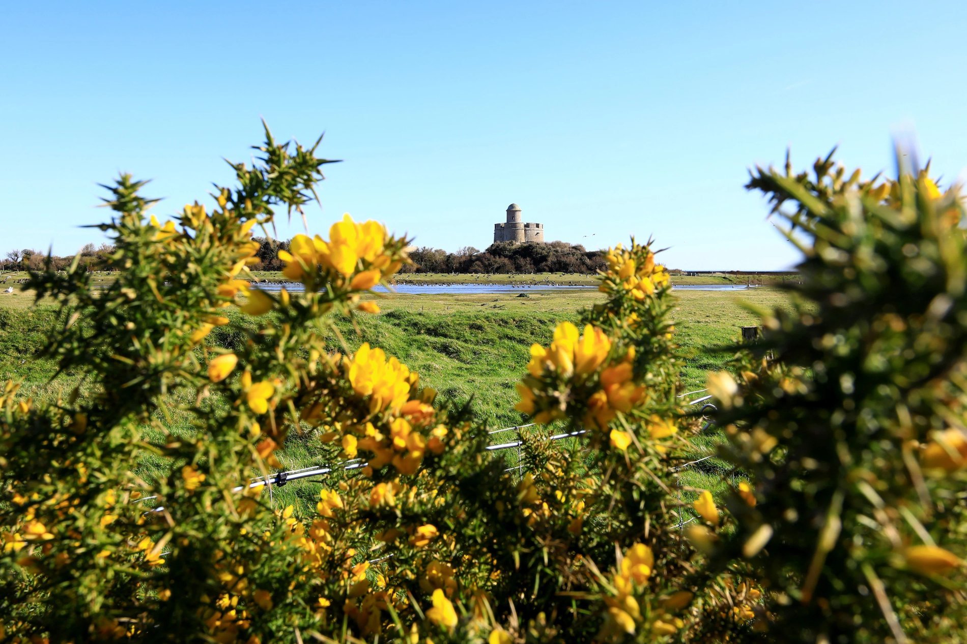 9087af91-b000-402a-a6f6-8f9e70a0e33d