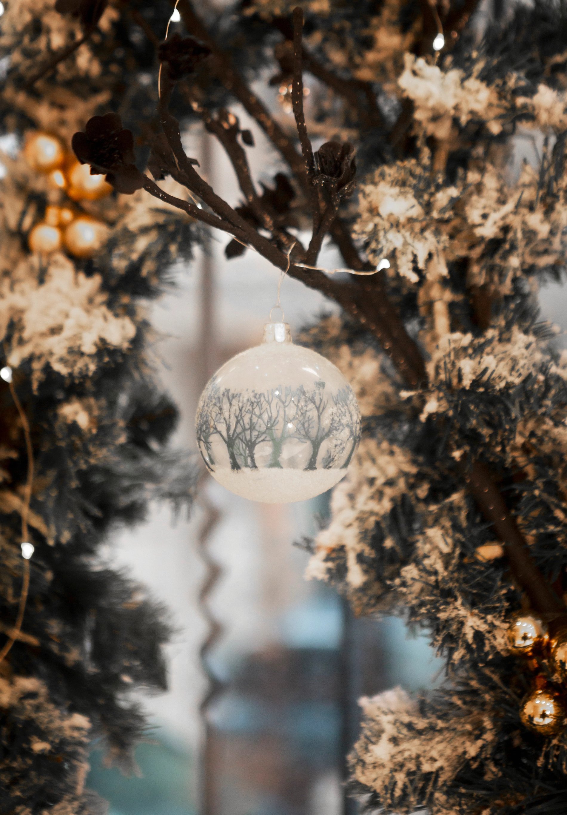 923a0d1e-4612-42f1-9532-f143ee4ea490