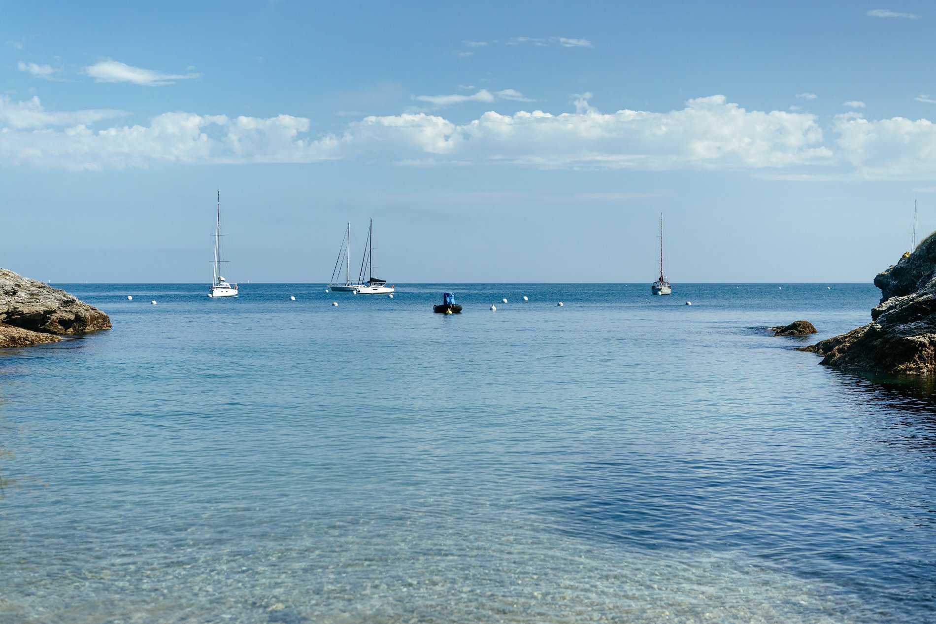 935fce5a-44ad-4691-89be-8b62cbb7621e