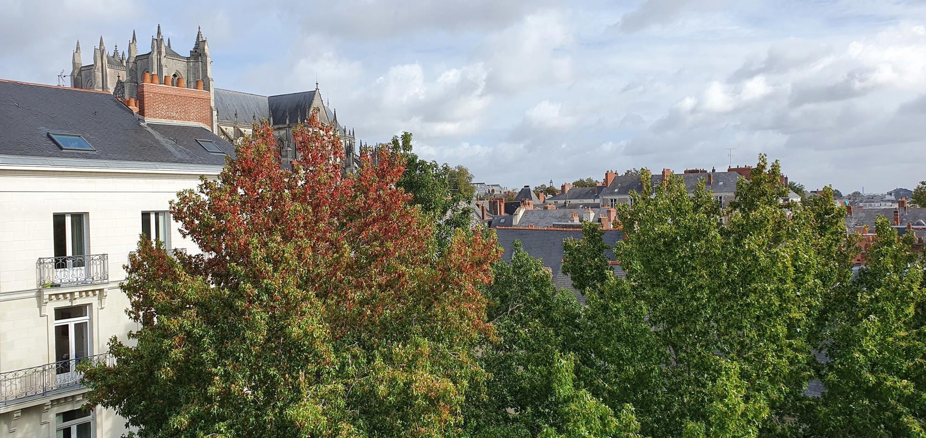 9513fd0f-e82b-4f6c-89b7-0d723eb5bc7d