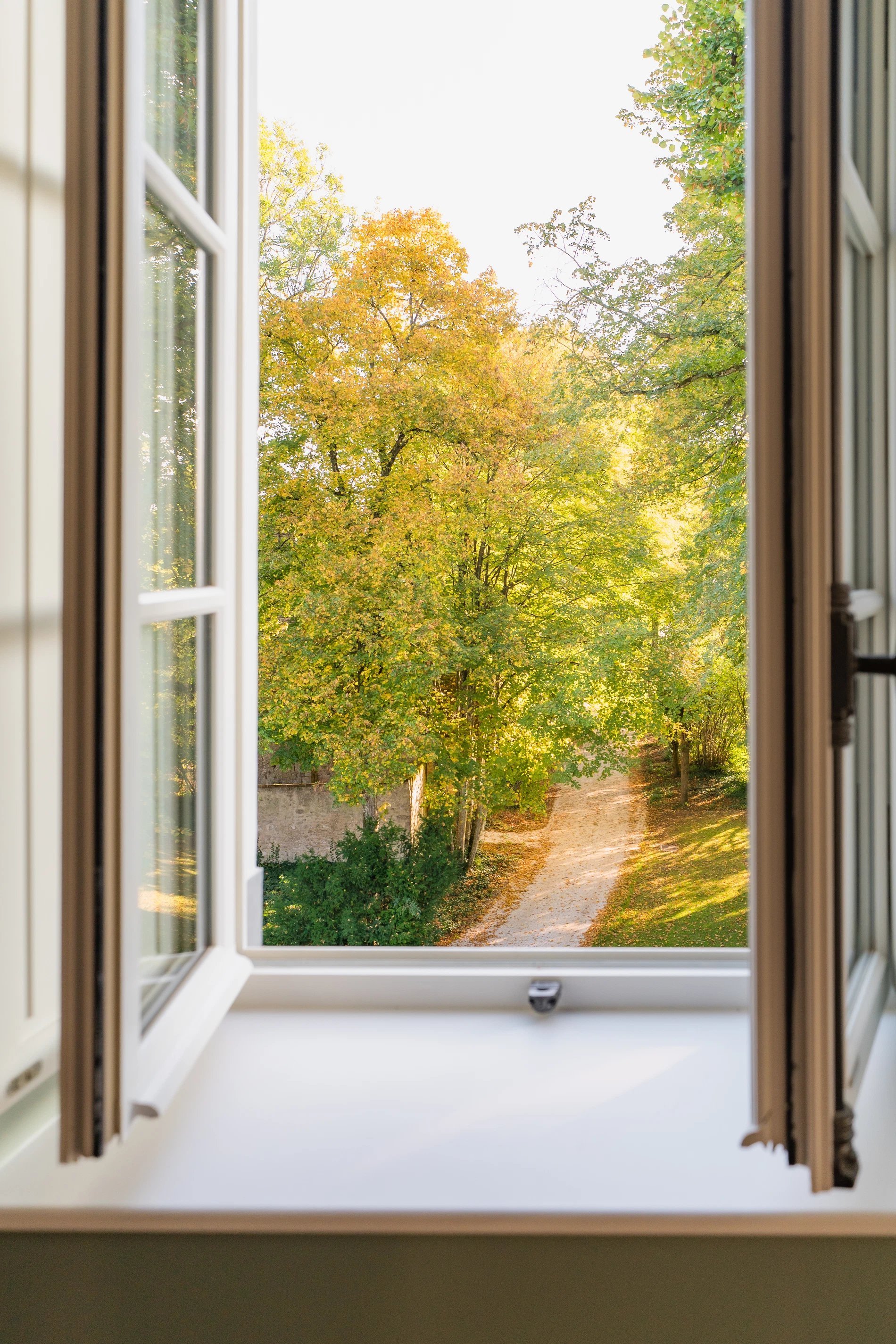 951cd56d-228d-4a31-9363-89ec692e85f9