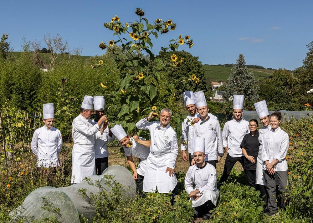 960d3c8c-7721-477b-965b-f629b0aed985