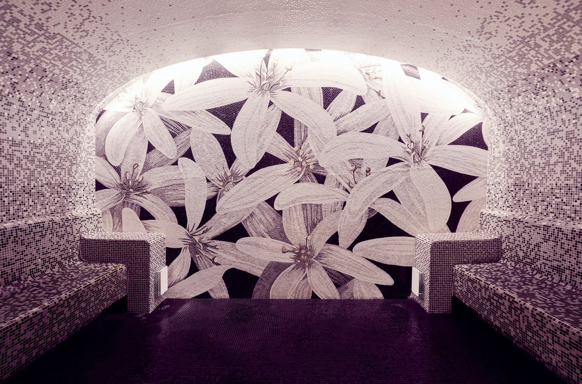 Grand Hôtel du Palais Royal | Wellness area