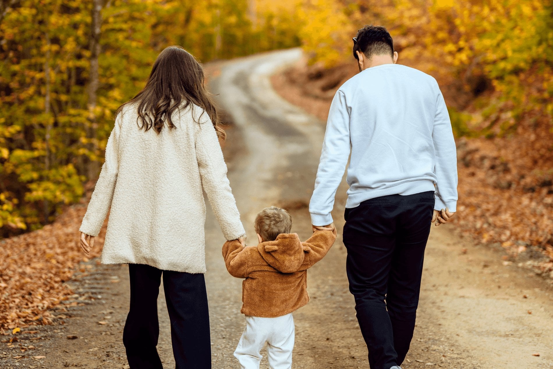 98d93b38-aabd-4d47-a5ba-0cb7a577223a