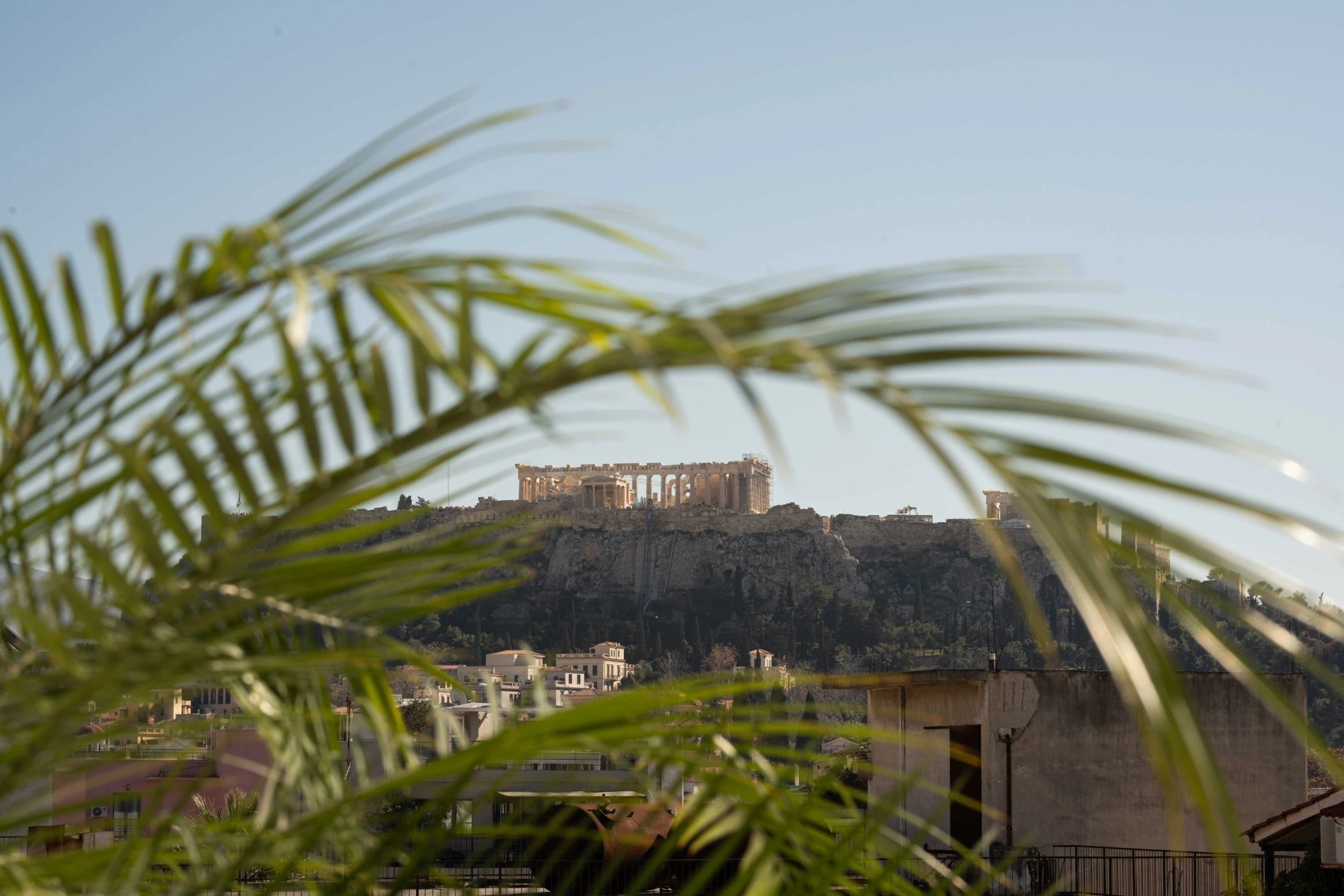 99420b44-2cf1-4497-b6f4-8984a7347b24