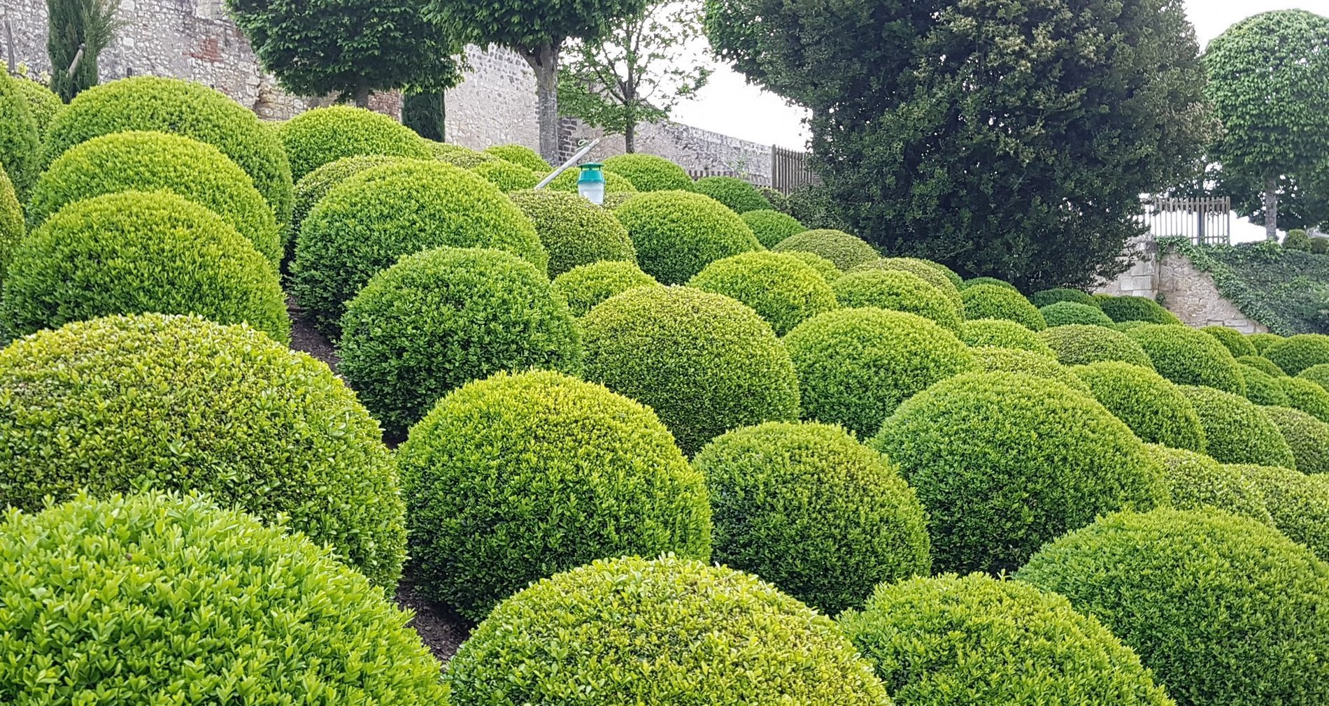 99962fe0-e413-4201-b513-a3fd3943aef5