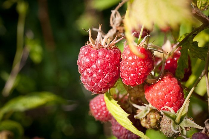 9add91f7-42bc-4a43-8e7b-5331d5d540d7