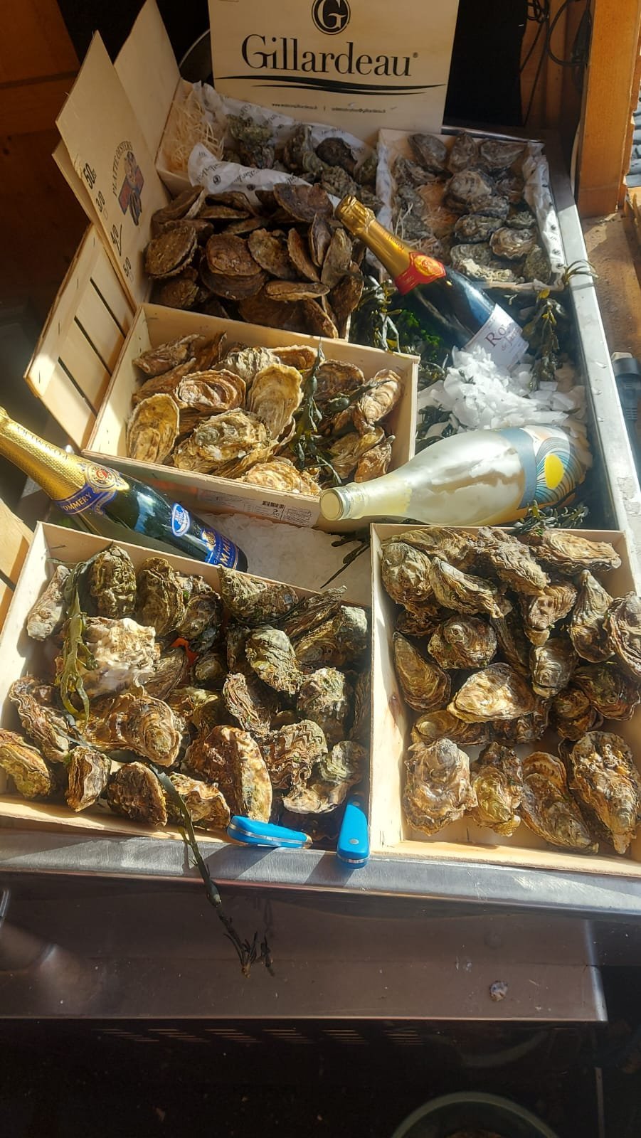 9bd9bc3e-9d1d-4817-b65b-ea92d9302f1d