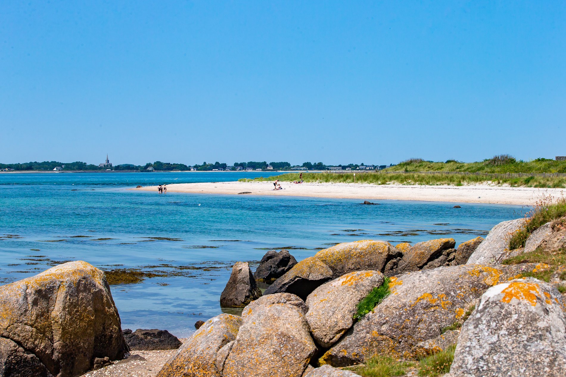 9f23a6f8-9f20-4fc7-aaf0-f090057ee708