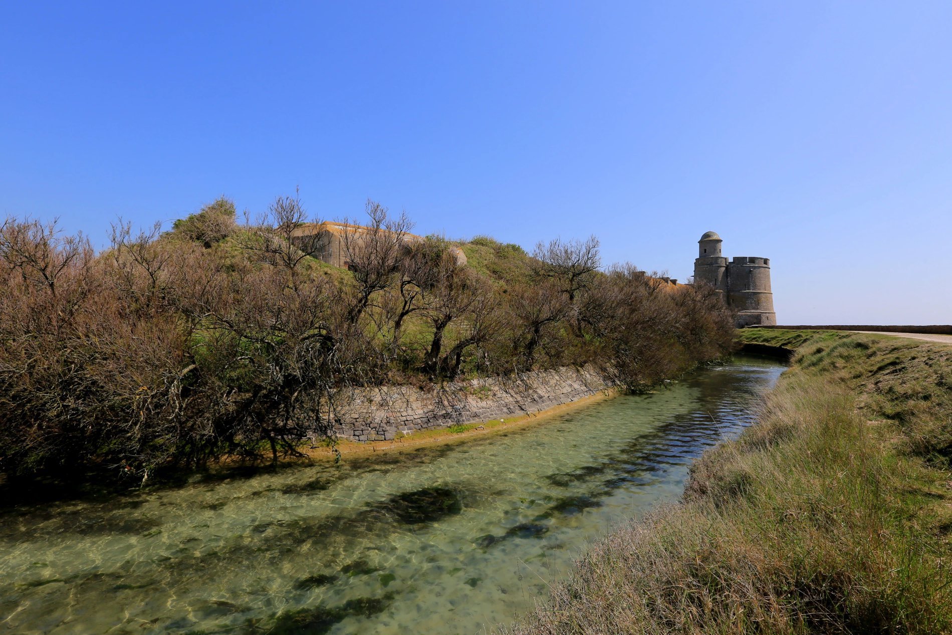 a02c0287-4150-4942-97d0-b1313f8d0571