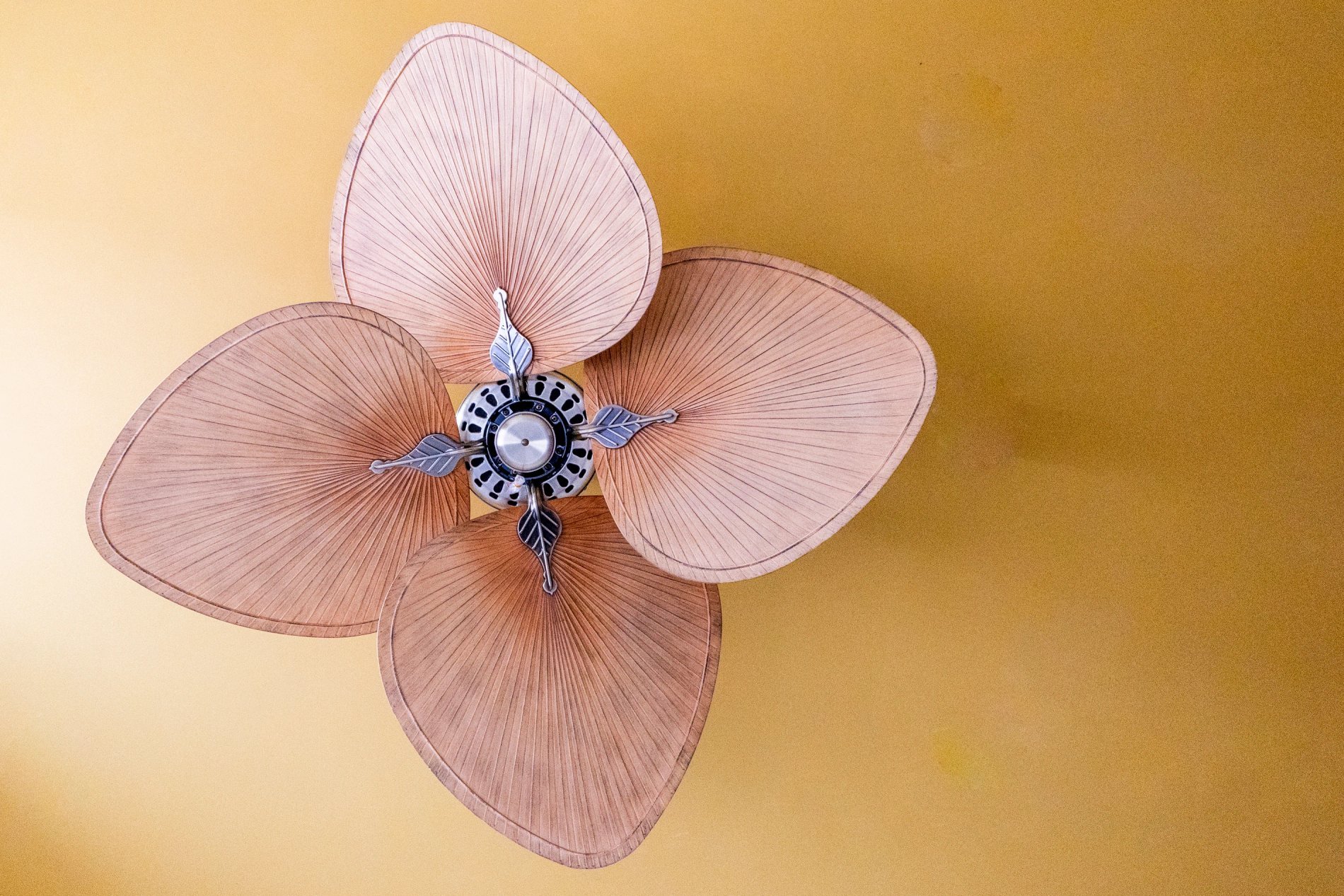 a2cdd83e-9850-48ca-b5f5-015e0f8f03e4