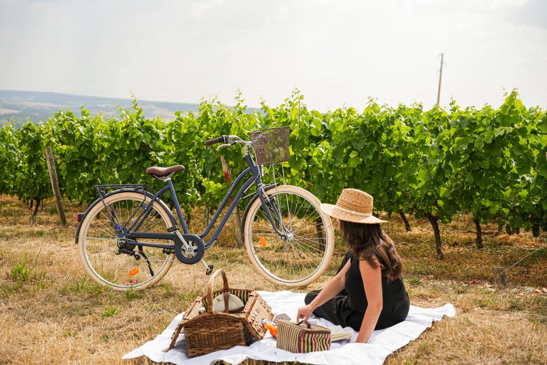 L'immersion en cuisine, savoir-faire culinaire de la Côte Saint Jacques en Bourgogne