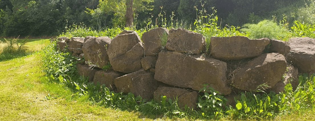 a363edcc-84c0-40a1-9cb4-36ae9d4b5fbc