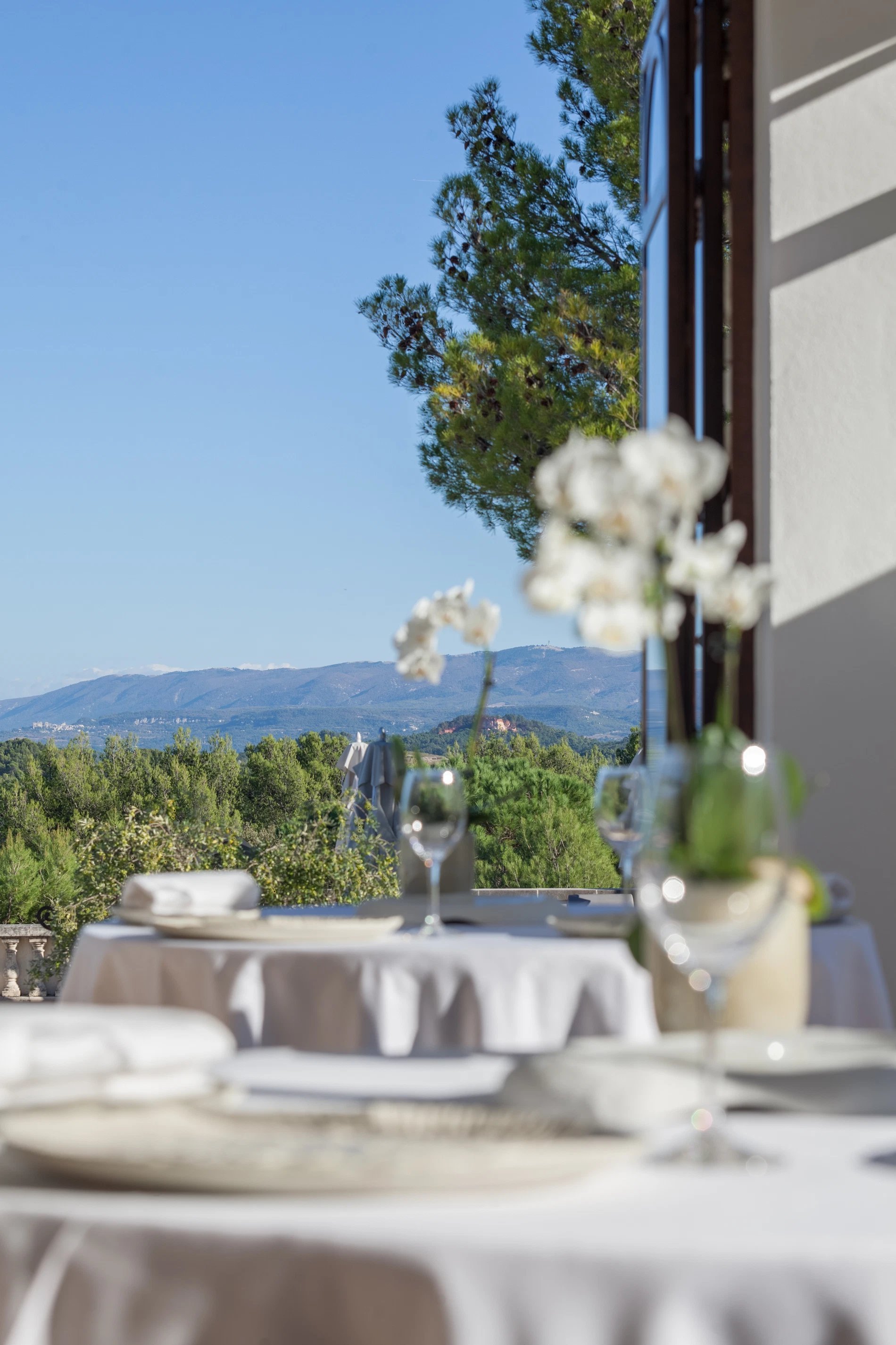 Le Phébus | Restaurant
