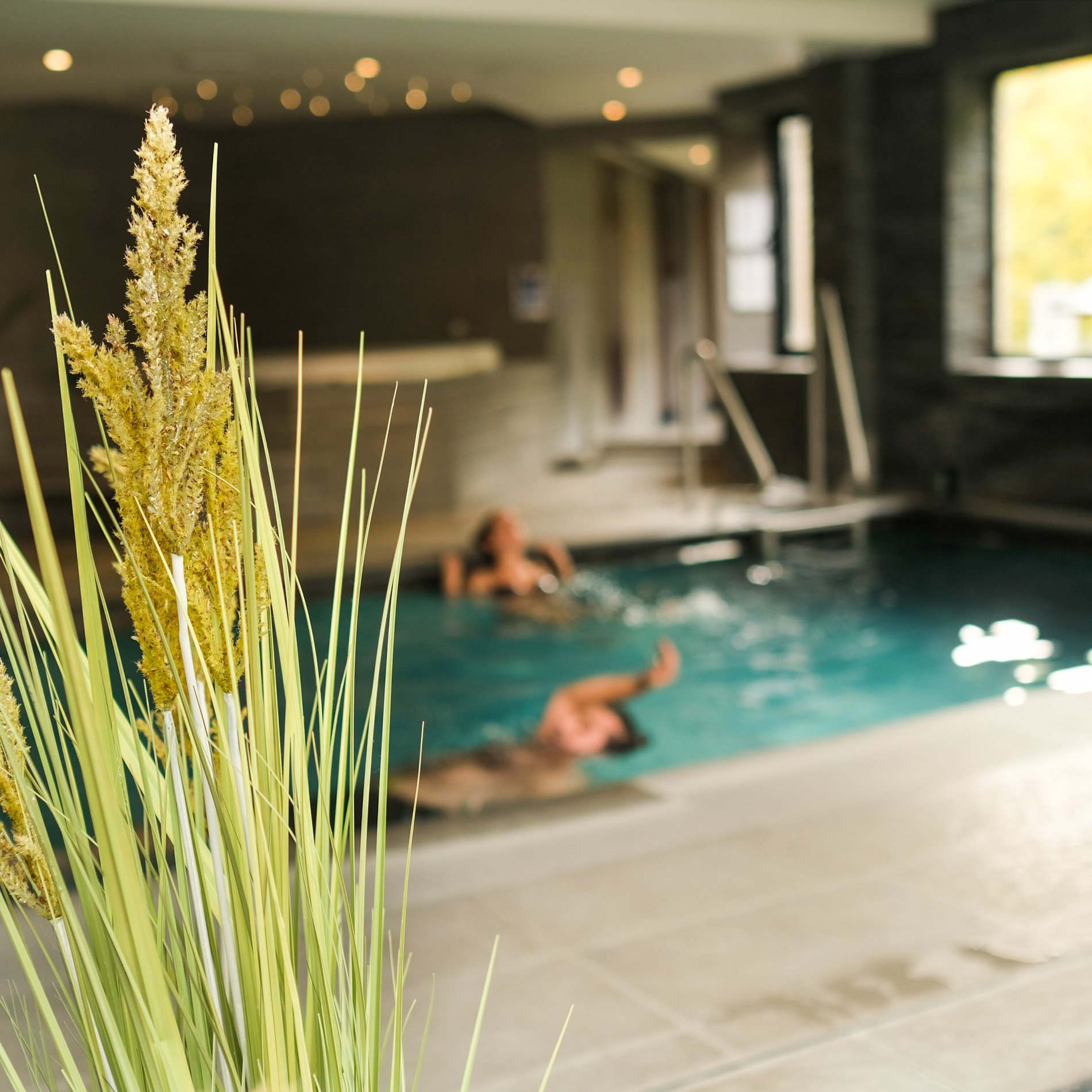 Innenpool mit Pflanzendekoration und großen Glasfenstern.