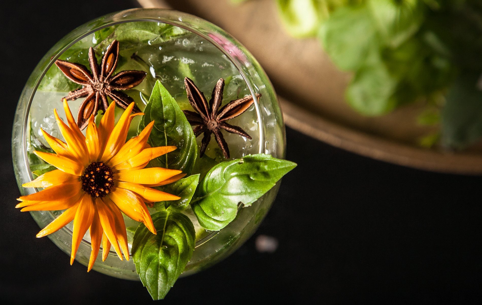 Le Lion d'Or Bayeux | Cocktail Bar Bayeux