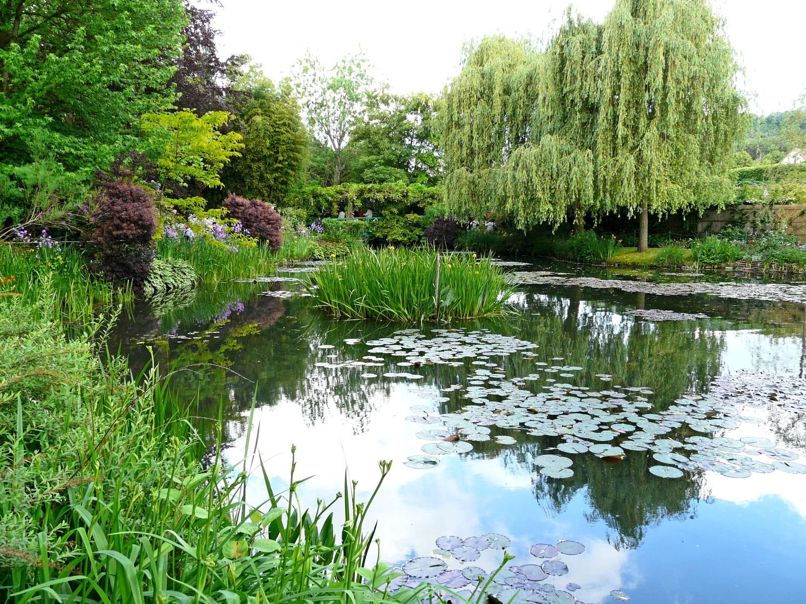 a4d64566-4f32-4b52-b2d5-d751724ddc17