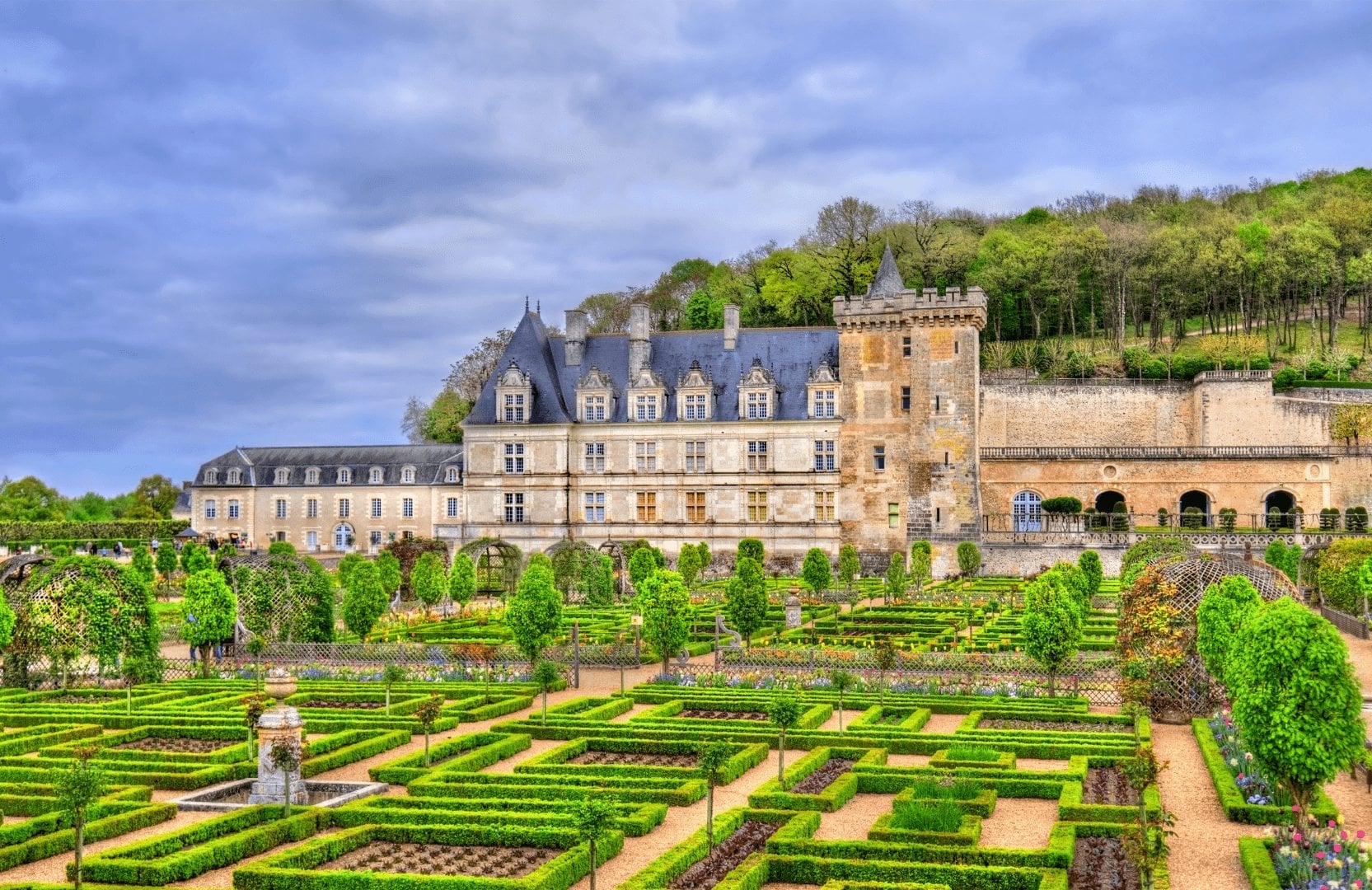 a687782e-13a9-4c54-9aec-4890d66fad62