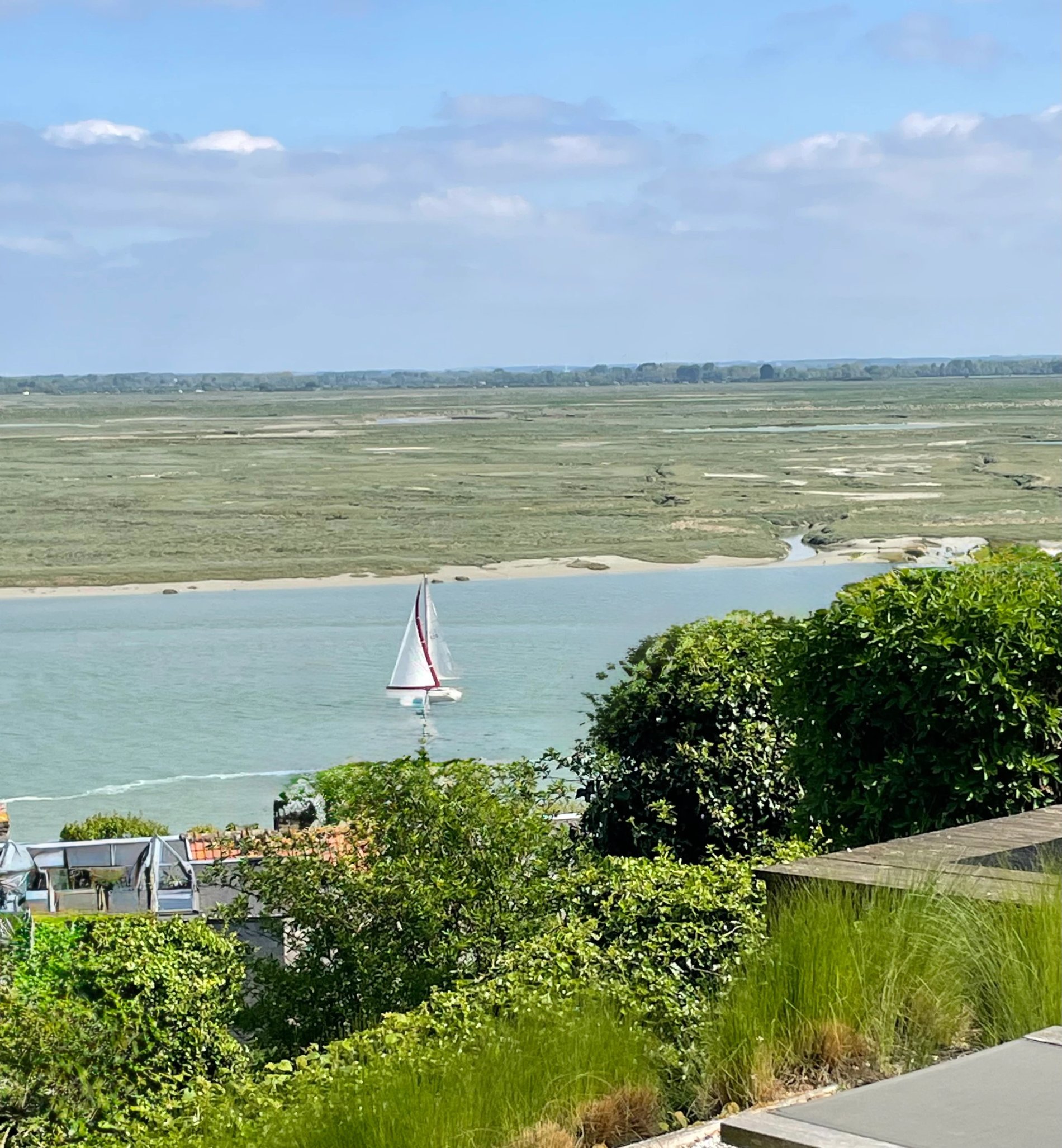 a765f9bf-dee3-4be0-a1c2-057fe916c35c