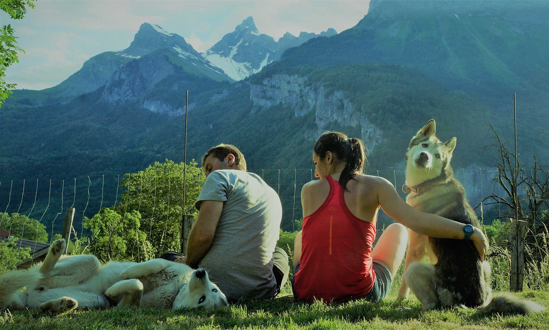 a92bafa3-db17-4662-a8c7-a86baa6a9394