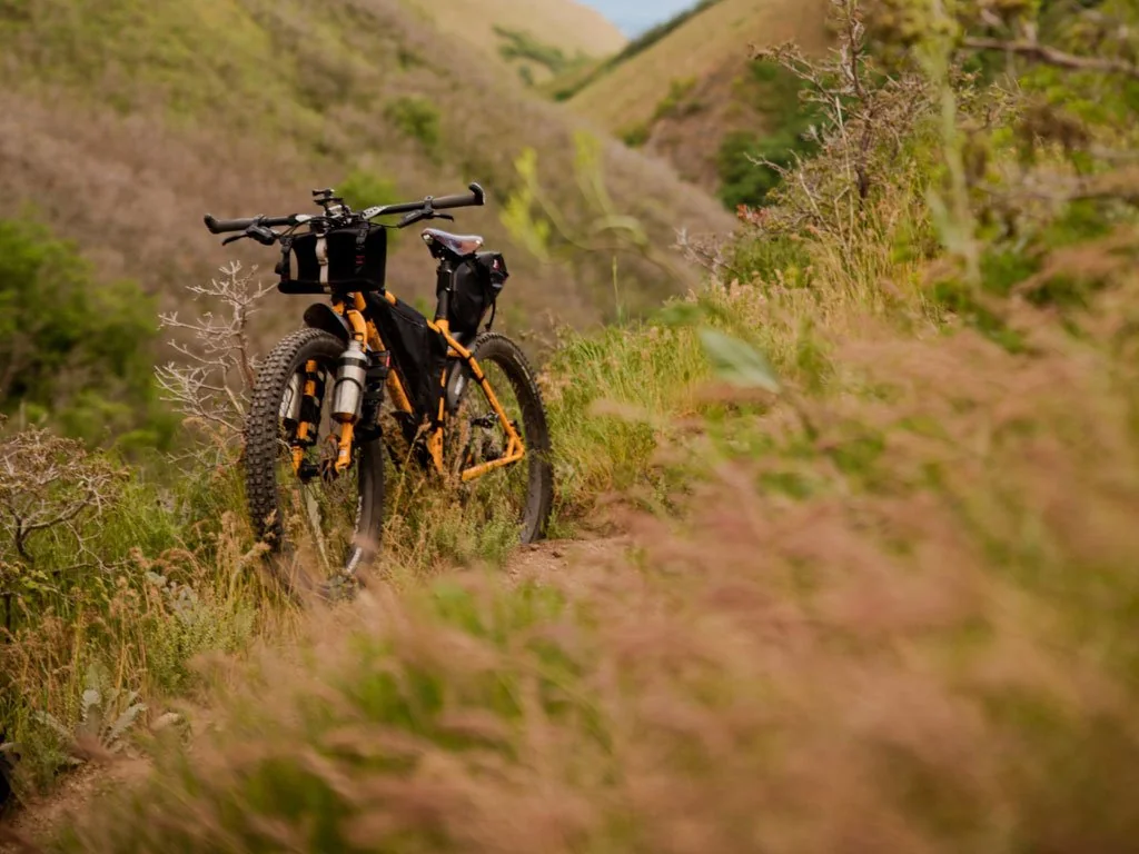 aa115ee2-7fdf-4e33-9183-6b7d98ff1c1a